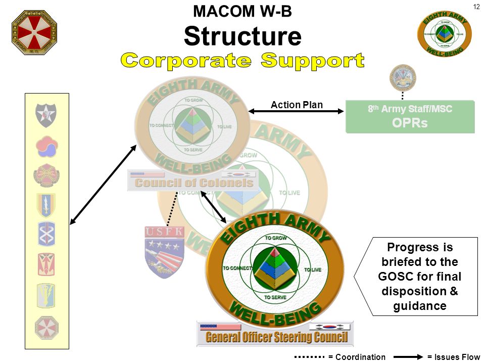 12 Structure Action Plan = Issues Flow= Coordination Progress is briefed to the GOSC for final disposition & guidance MACOM W-B