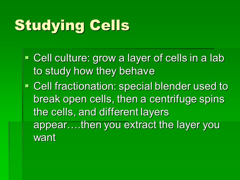 Studying Cells  Cell culture: grow a layer of cells in a lab to study how they behave  Cell fractionation: special blender used to break open cells, then a centrifuge spins the cells, and different layers appear….then you extract the layer you want