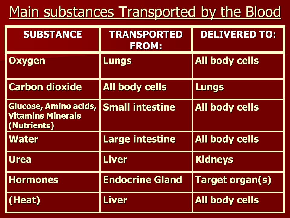 Main substances Transported by the Blood All body cells Liver(Heat) Target organ(s) Endocrine Gland Hormones KidneysLiverUrea All body cells Large intestine Water All body cells Small intestine Glucose, Amino acids, Vitamins Minerals (Nutrients) Lungs All body cells Carbon dioxide All body cells LungsOxygen DELIVERED TO: TRANSPORTED FROM: SUBSTANCE