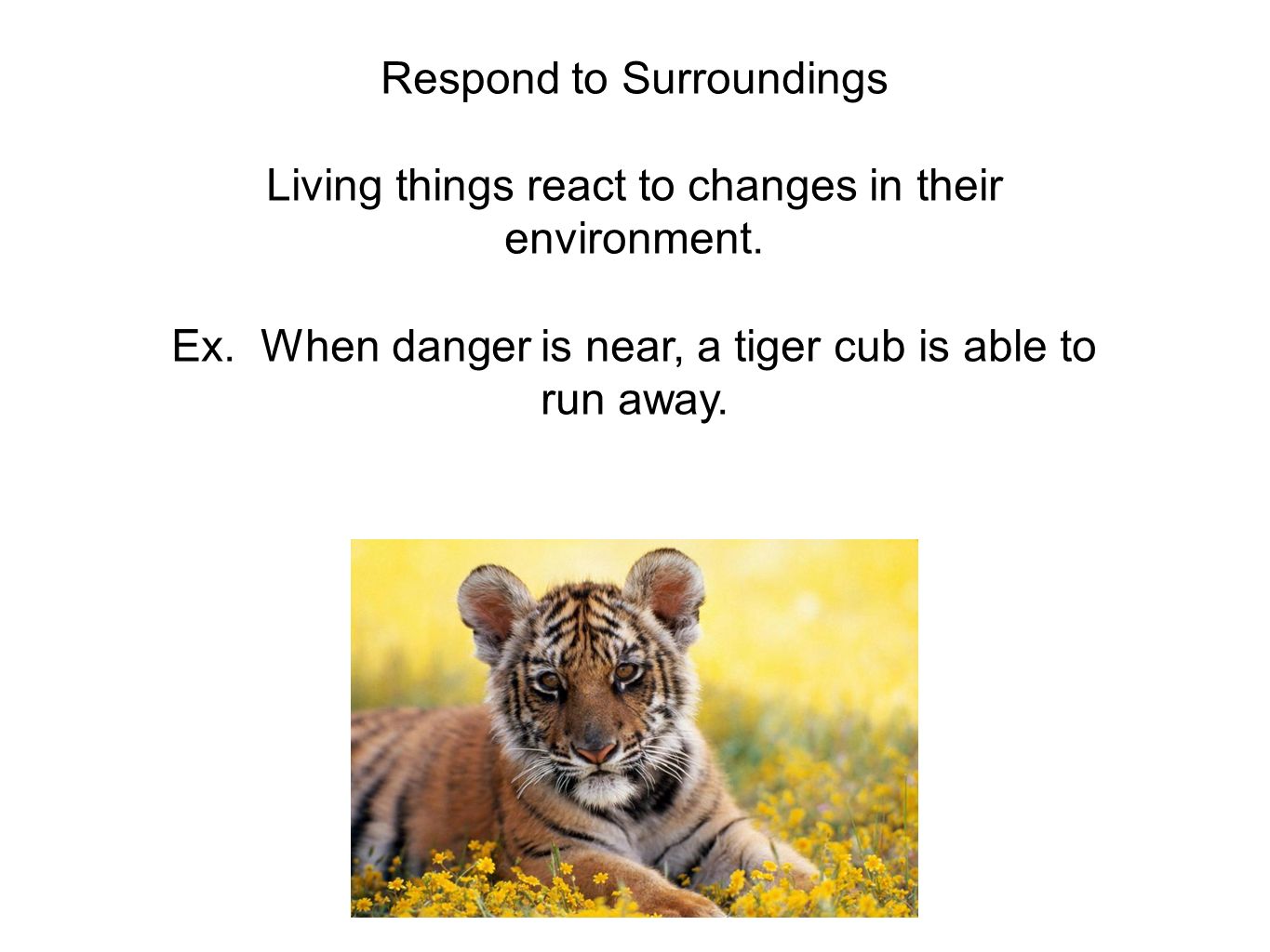 Features of the organism environment Features of the organism environment