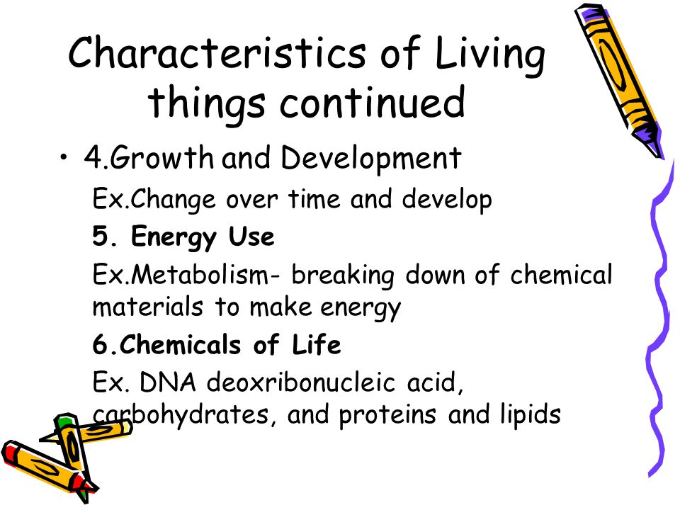 Chapter 1.1 It’s Alive or is It?. Characteristics of Living things 1 ...