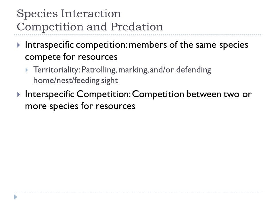 Species Interaction Competition and Predation  Intraspecific competition: members of the same species compete for resources  Territoriality: Patrolling, marking, and/or defending home/nest/feeding sight  Interspecific Competition: Competition between two or more species for resources