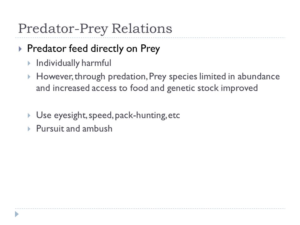Predator-Prey Relations  Predator feed directly on Prey  Individually harmful  However, through predation, Prey species limited in abundance and increased access to food and genetic stock improved  Use eyesight, speed, pack-hunting, etc  Pursuit and ambush
