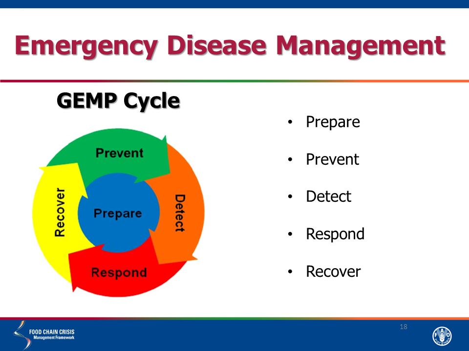 Prepare Prevent Detect Respond Recover 18 Emergency Disease Management GEMP Cycle