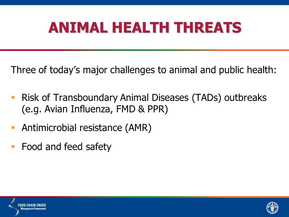 ANIMAL HEALTH THREATS Three of today’s major challenges to animal and public health:  Risk of Transboundary Animal Diseases (TADs) outbreaks (e.g.