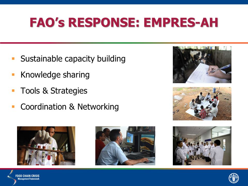 FAO’s RESPONSE: EMPRES-AH  Sustainable capacity building  Knowledge sharing  Tools & Strategies  Coordination & Networking