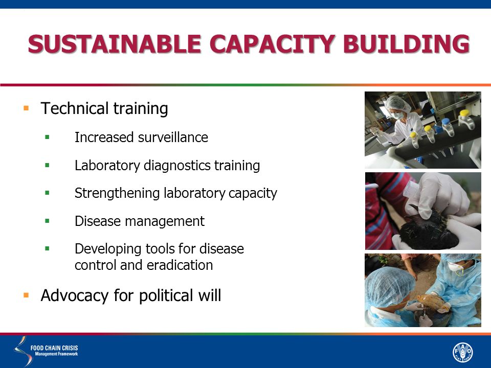 SUSTAINABLE CAPACITY BUILDING  Technical training  Increased surveillance  Laboratory diagnostics training  Strengthening laboratory capacity  Disease management  Developing tools for disease control and eradication  Advocacy for political will