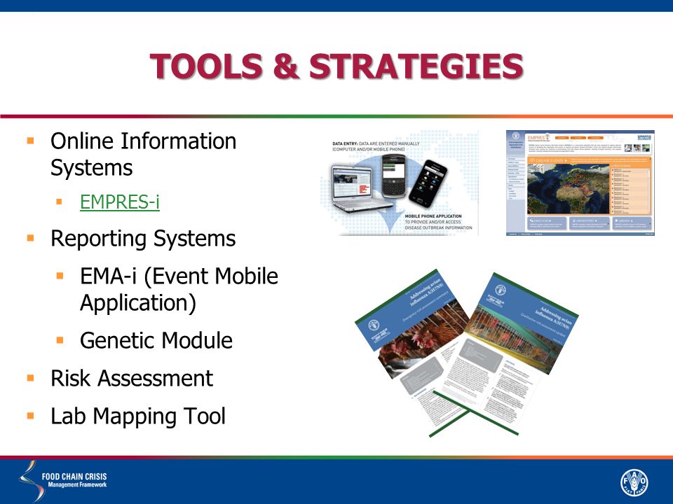 TOOLS & STRATEGIES  Online Information Systems  EMPRES-i EMPRES-i  Reporting Systems  EMA-i (Event Mobile Application)  Genetic Module  Risk Assessment  Lab Mapping Tool