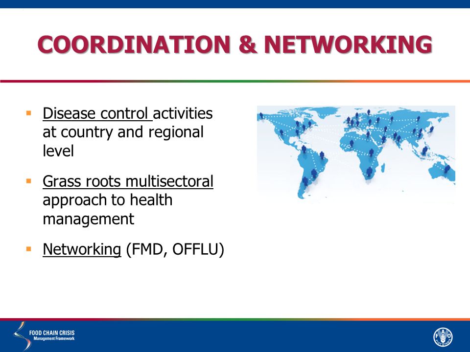 COORDINATION & NETWORKING  Disease control activities at country and regional level  Grass roots multisectoral approach to health management  Networking (FMD, OFFLU)