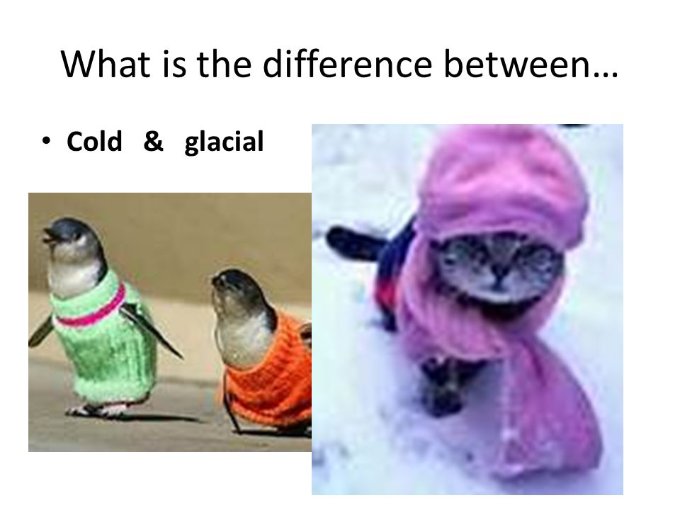 What is the difference between… Cold & glacial