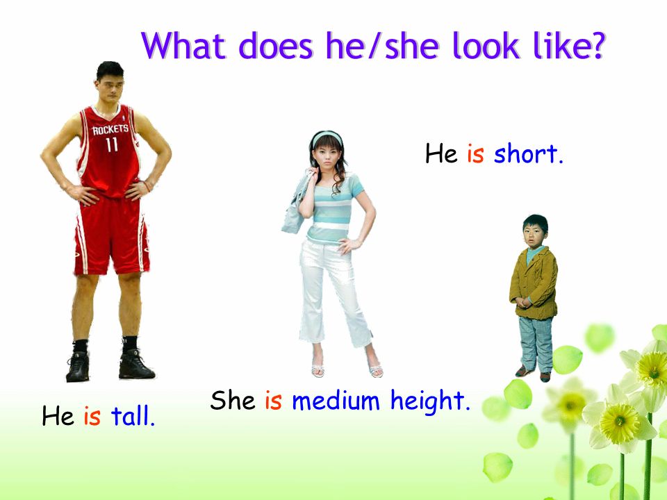 Height short of Medium height. Medium height. She is short he is Tall. My height is short. Short height