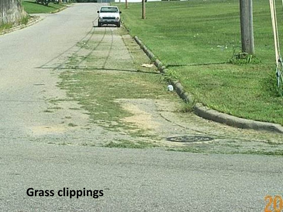 Grass clippings