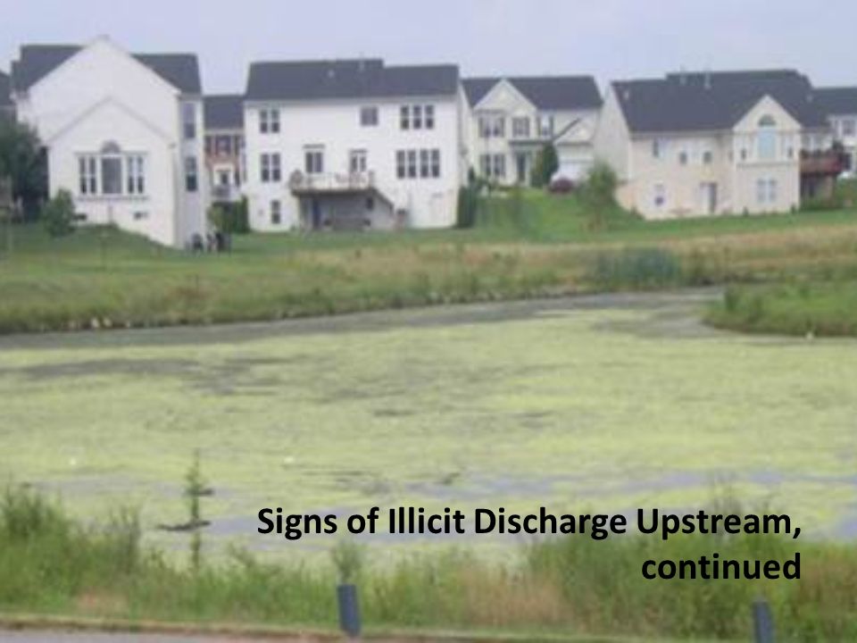 Signs of Illicit Discharge Upstream, continued