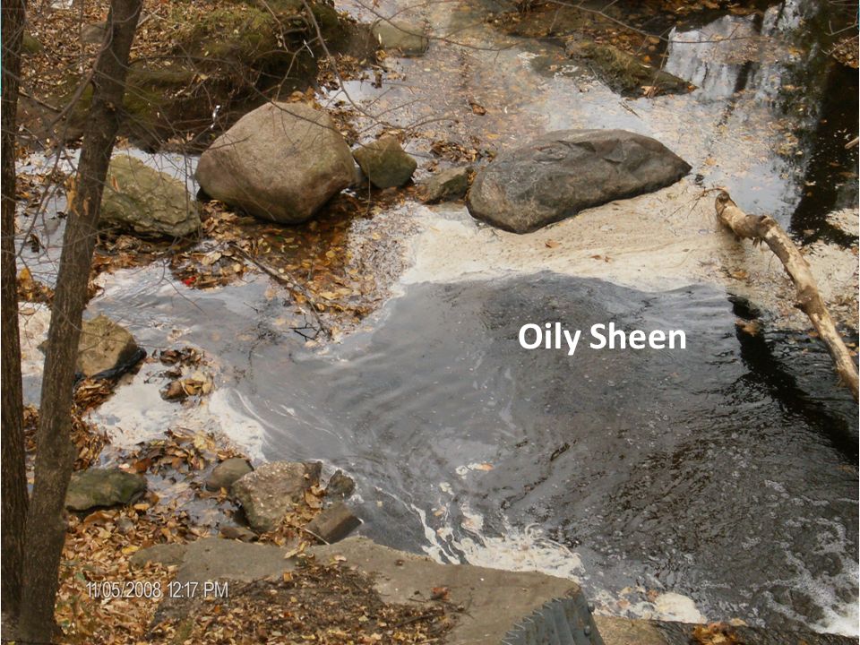 Oily Sheen