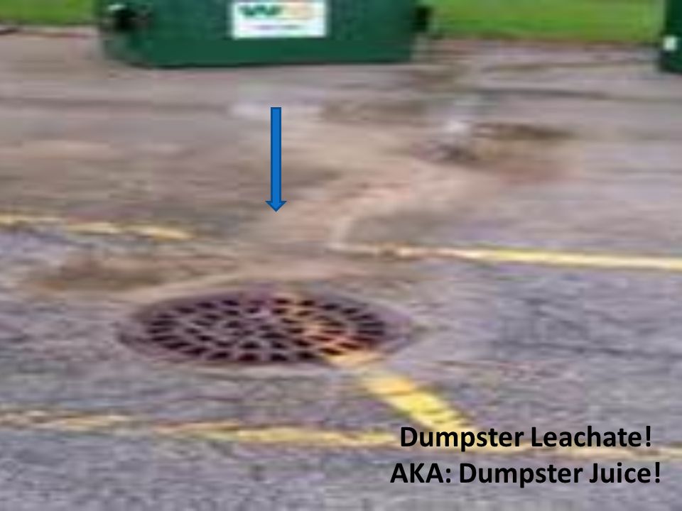 Dumpster Leachate! AKA: Dumpster Juice!