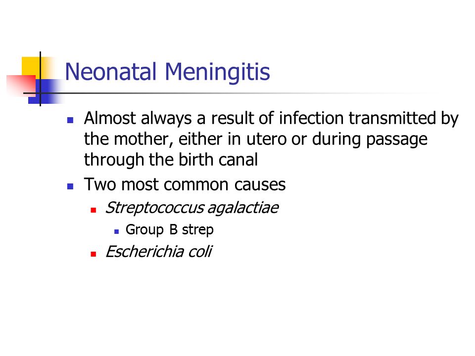 most common causes of neonatal meningitis