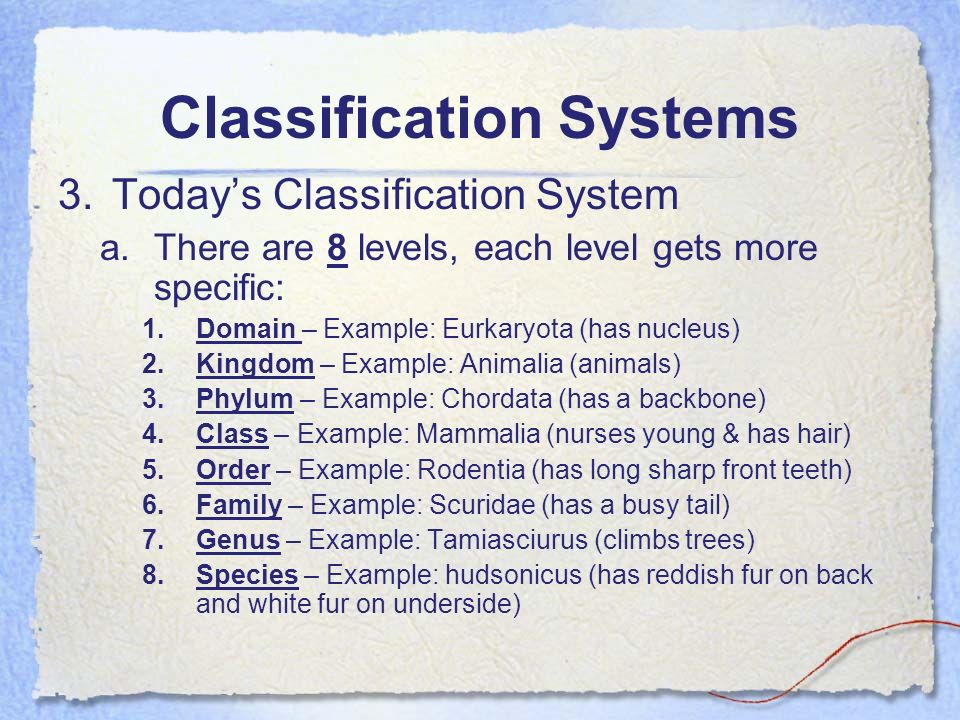 classification order examples