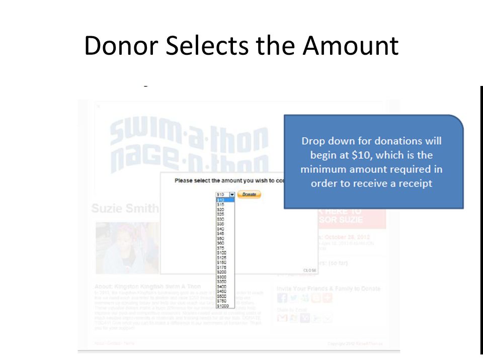 Donor Selects the Amount