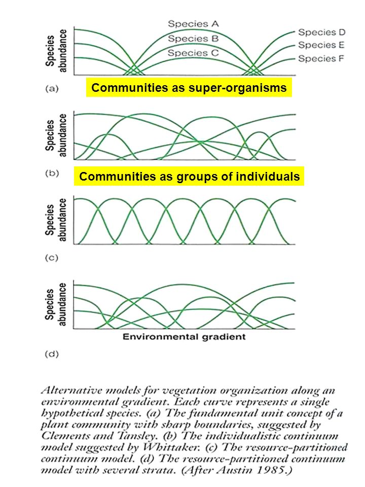 Communities as super-organisms Communities as groups of individuals