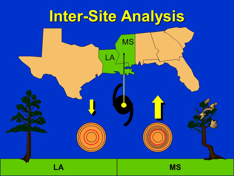 Inter-Site Analysis LAMS LA MS
