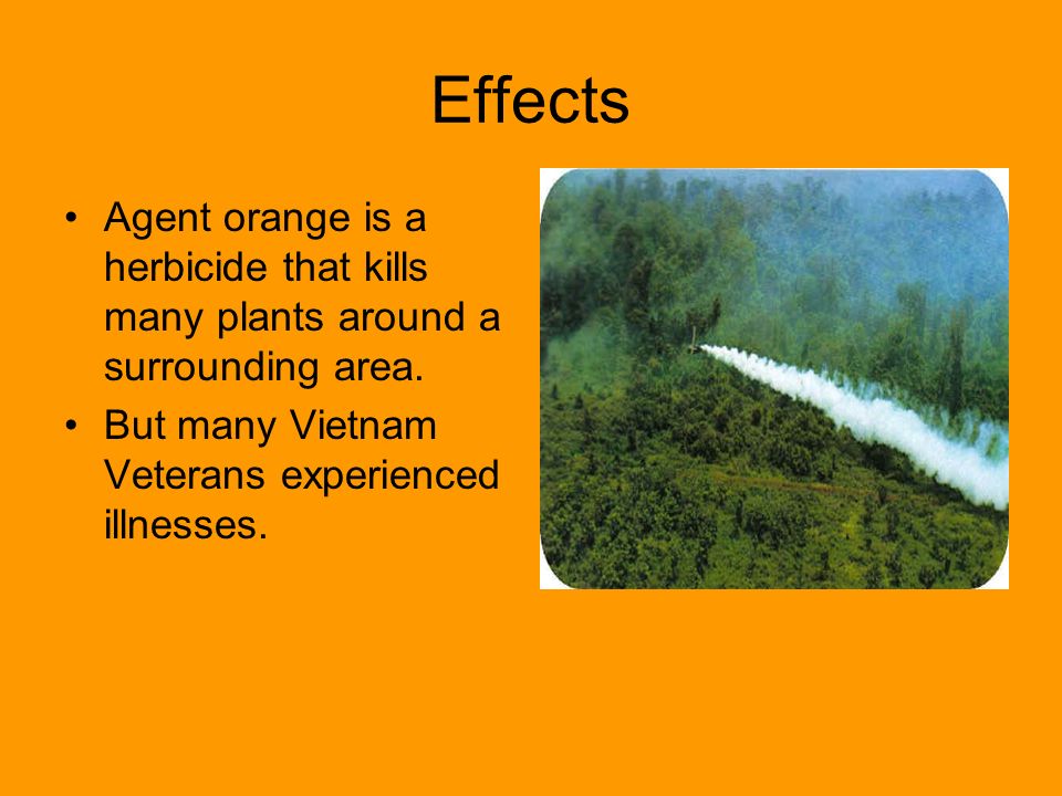 Agent Orange And Its Effects On The Environment By Anthony Quintero Castaneda Justin Giebler And Ben Parrea Ppt Download Agent Orange And Its Effects On The Environment By Anthony Quintero Castaneda Justin Giebler And Ben Parrea Ppt Download