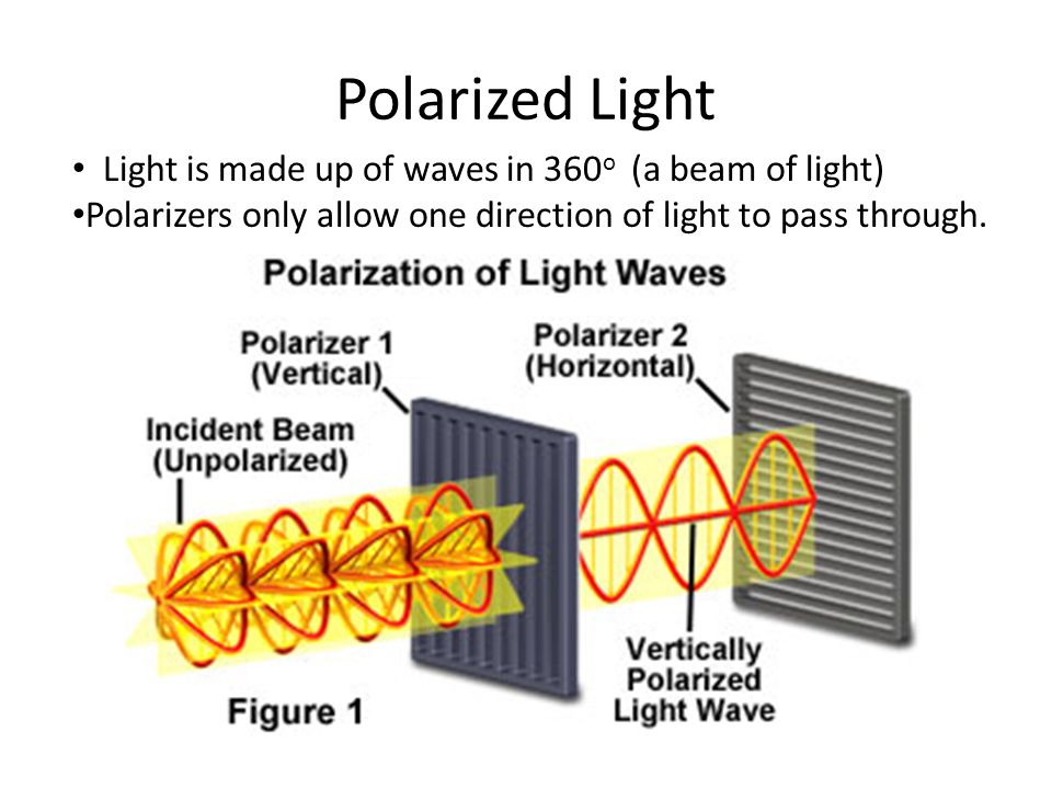 polarized light