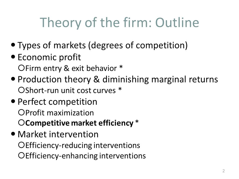 profit maximization theory