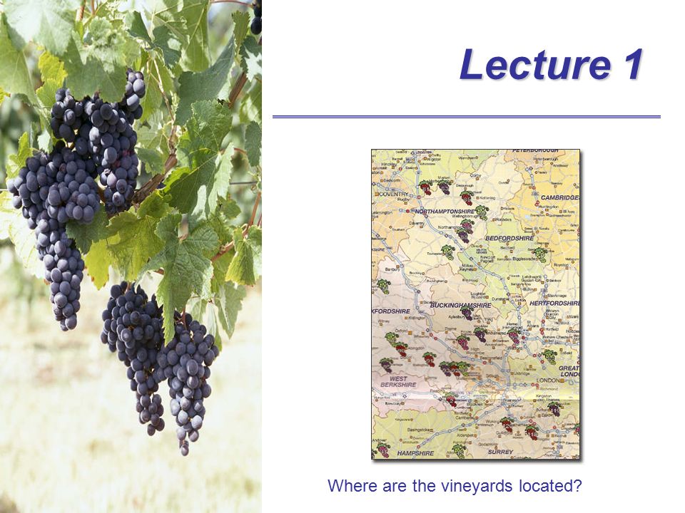 Lecture 1 Where are the vineyards located