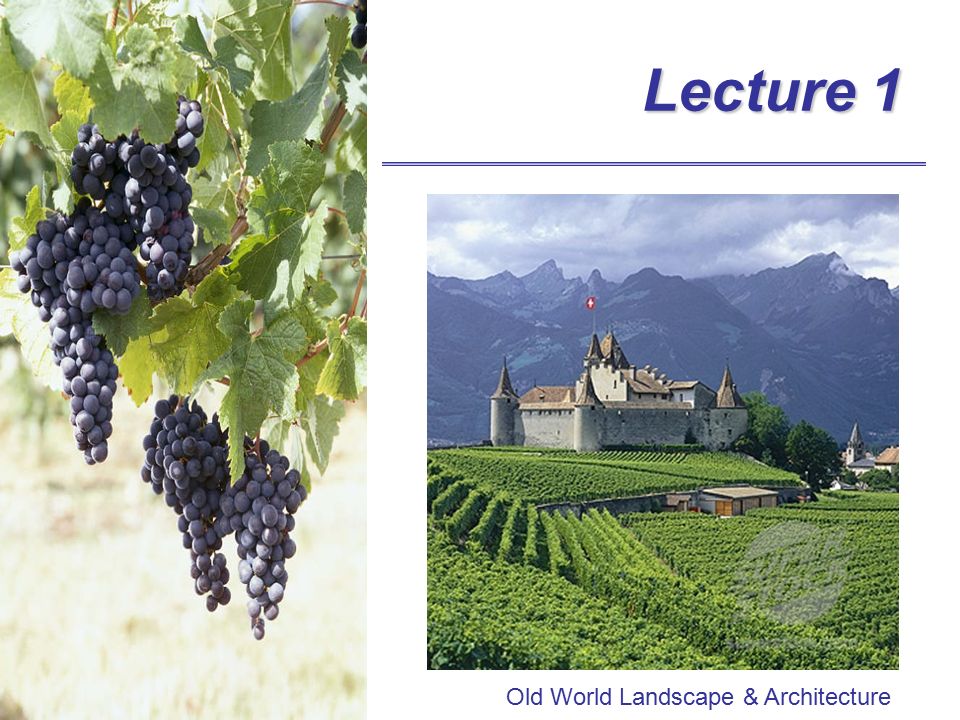Lecture 1 Old World Landscape & Architecture