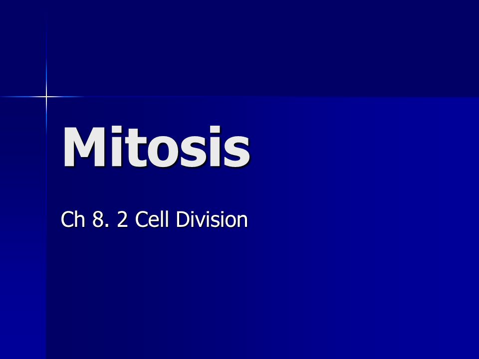 Mitosis Ch 8. 2 Cell Division