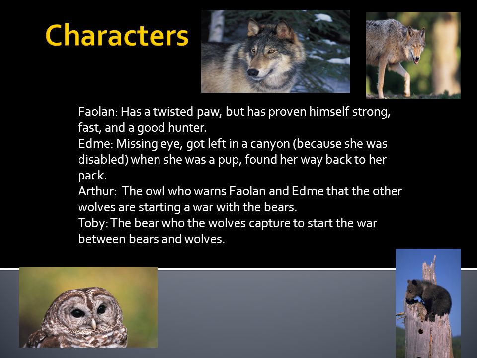 Faolan: Has a twisted paw, but has proven himself strong, fast, and a good hunter.