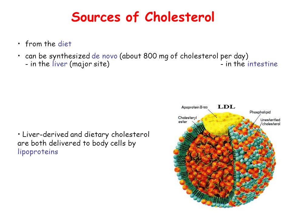 Sources of Cholesterol from the diet can be synthesized de novo (about 800 mg of cholesterol per day) - in the liver (major site) - in the intestine Liver-derived and dietary cholesterol are both delivered to body cells by lipoproteins