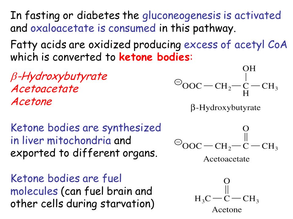 In fasting or diabetes the gluconeogenesis is activated and oxaloacetate is consumed in this pathway.