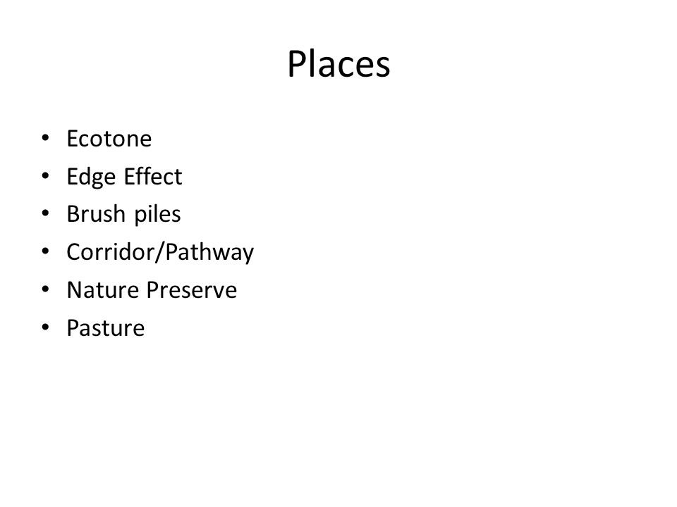 Places Ecotone Edge Effect Brush piles Corridor/Pathway Nature Preserve Pasture