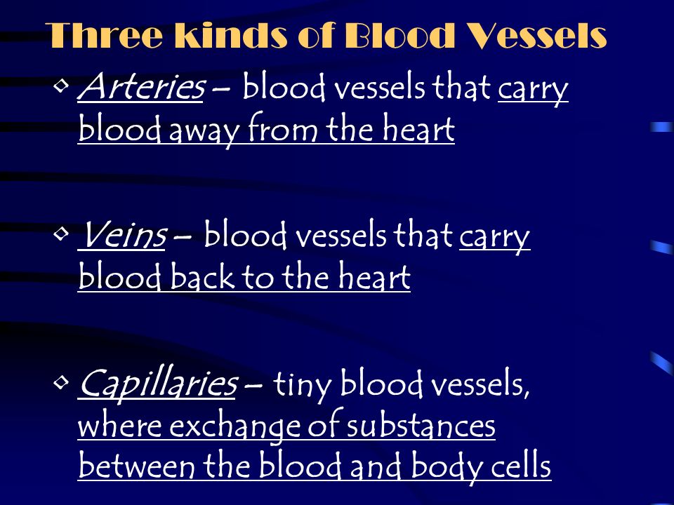 Three kinds of Blood Vessels
