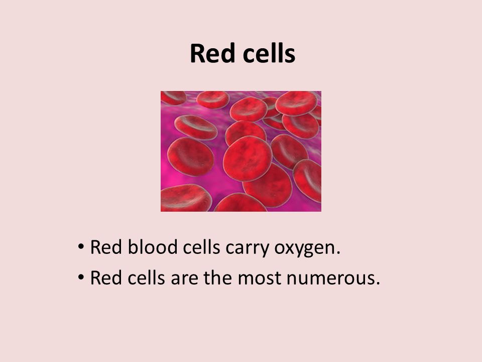 Red cells Red blood cells carry oxygen. Red cells are the most numerous.