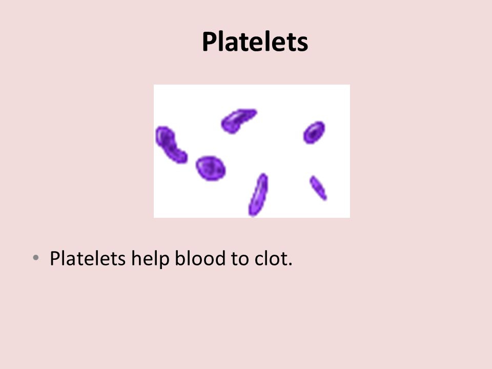 Platelets Platelets help blood to clot.