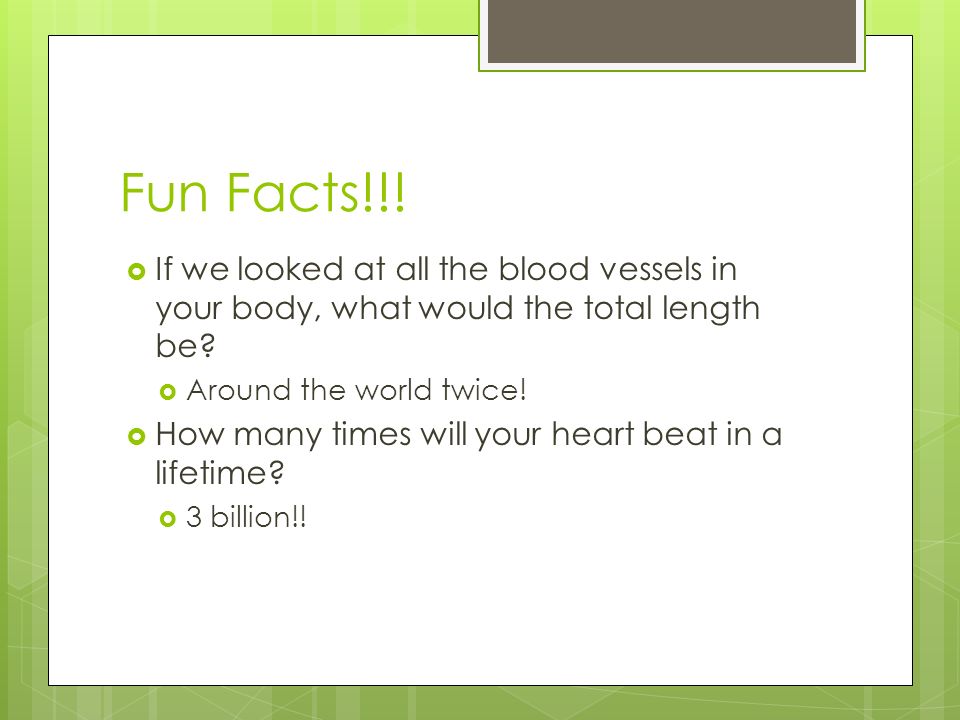 Fun Facts!!.  If we looked at all the blood vessels in your body, what would the total length be.