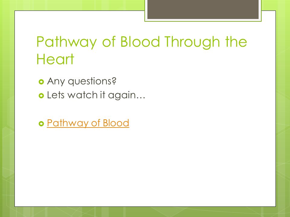 Pathway of Blood Through the Heart  Any questions.