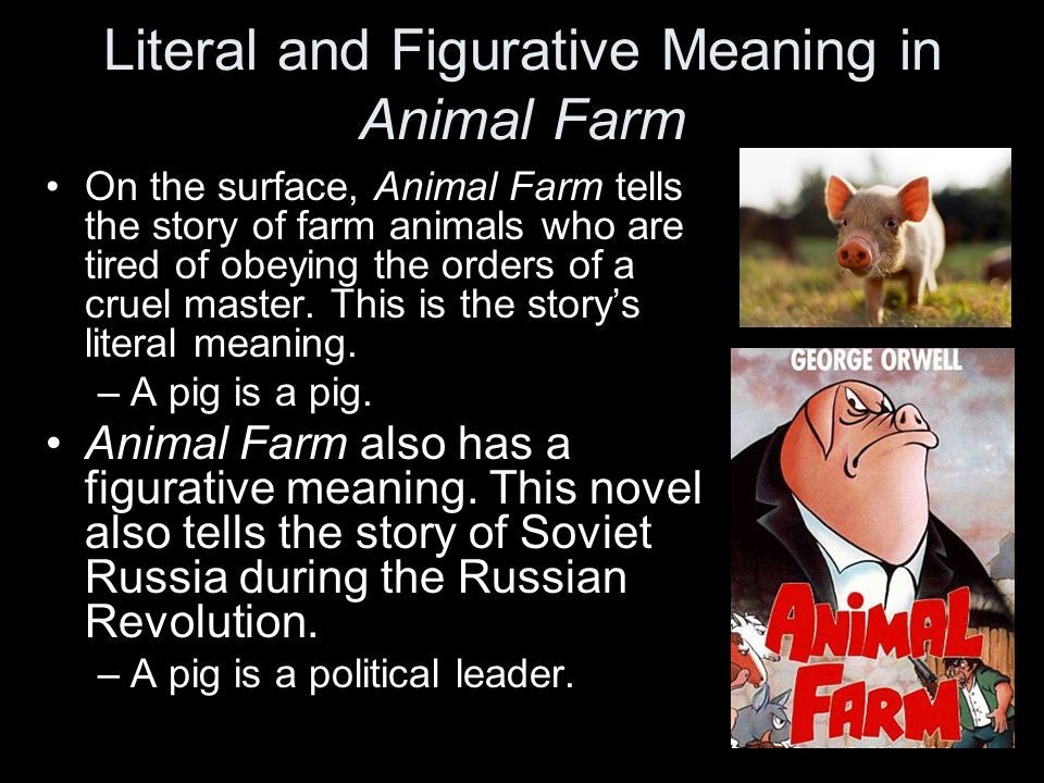 Aim: What is the underlying meaning and message of George Orwell's Animal  Farm? Do Now: What gets you “fired up”? What makes you want to contribute  to. - ppt download