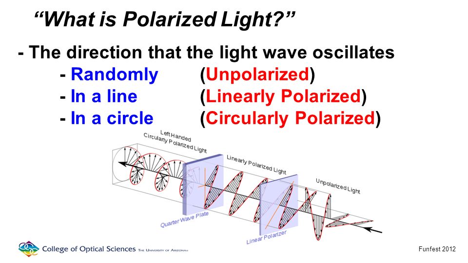 PolarizedLight “Polarized Light and 3D TV's” College of Optical Sciences  University of Arizona Funfest ppt download