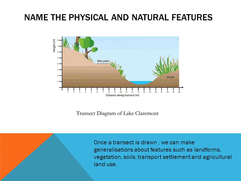 Transect Chart