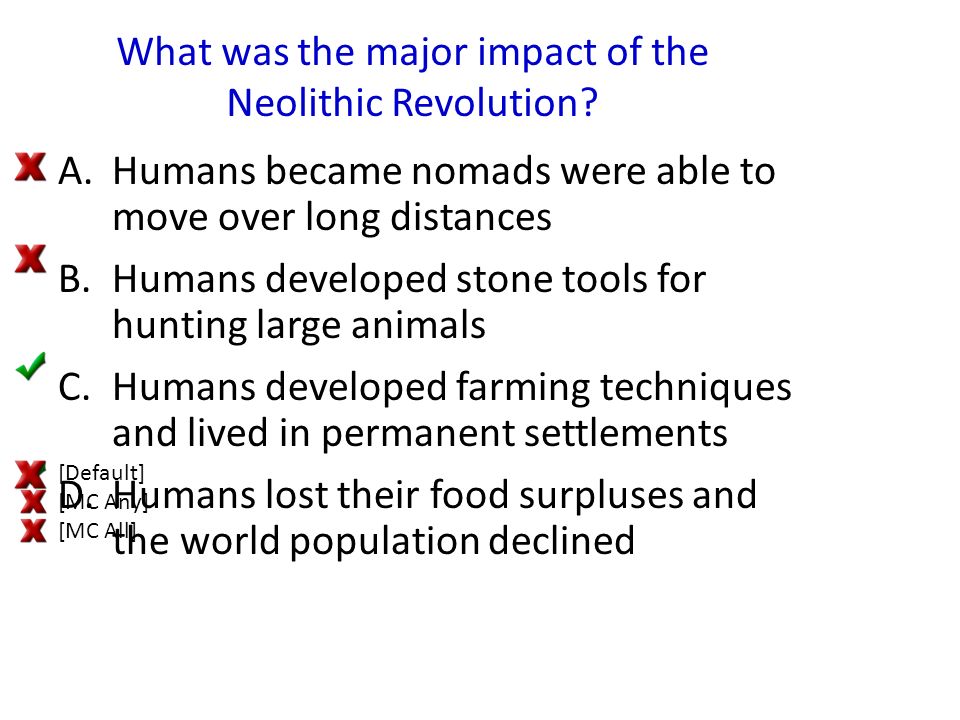 what was the impact of the neolithic revolution