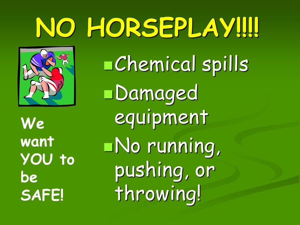 NO HORSEPLAY!!!. Chemical spills Damaged equipment No running, pushing, or throwing.