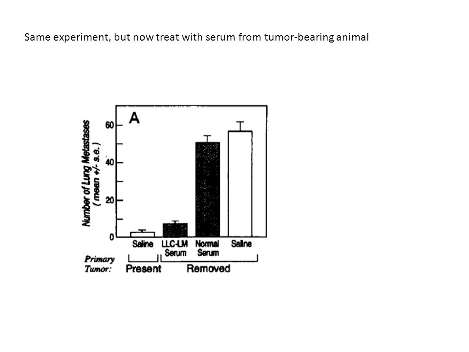 Same experiment, but now treat with serum from tumor-bearing animal