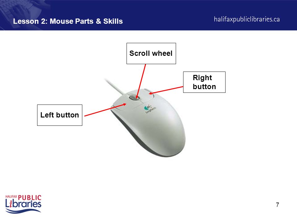 mouse and its parts