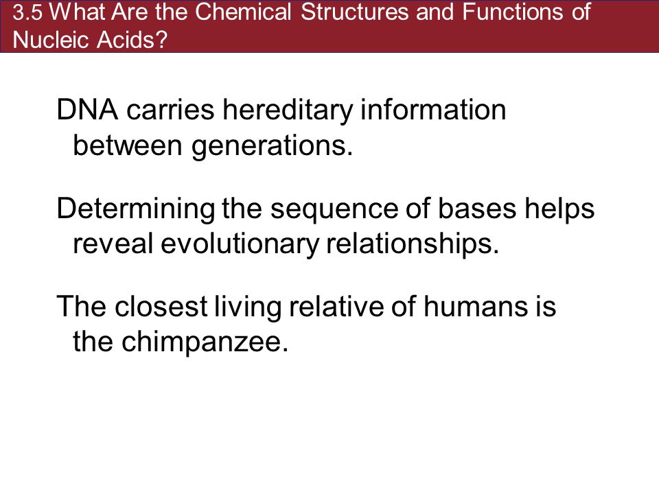 3.5 What Are the Chemical Structures and Functions of Nucleic Acids.