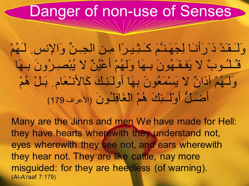 Allah S Mercy Narrated By Hazrat Maavia Raa Said The Prophet Saw For Whomsoever Allah Swt Decides To Do Good Makes Him Knowledgeable Ppt Download