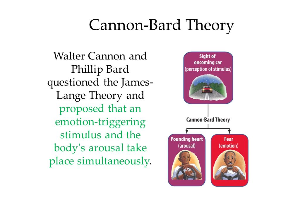 bard theory