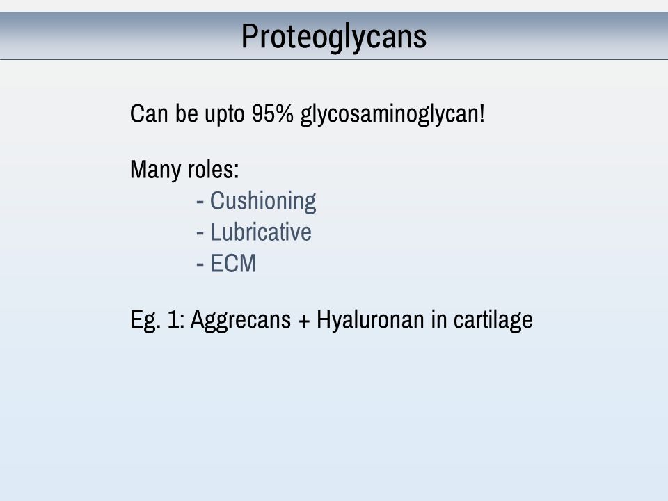 Proteoglycans Many roles: - Cushioning - Lubricative - ECM Can be upto 95% glycosaminoglycan.